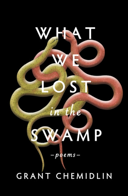What We Lost in the Swamp by Grant Chemidlin (Paerback) – Queer Lit