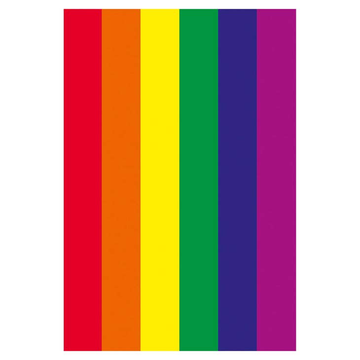 Rainbow Flag Fridge Magnet
