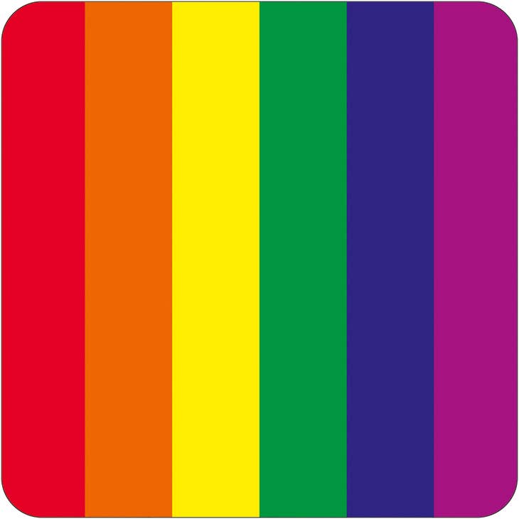 LGBTQ+ Pride Rainbow Coaster