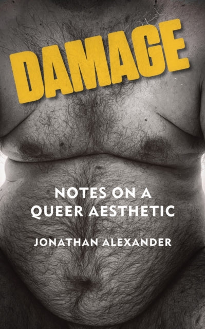 Damage : Notes on a Queer Aesthetic