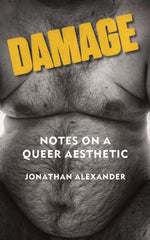 Damage : Notes on a Queer Aesthetic