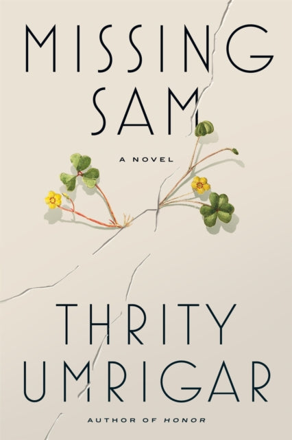 Missing Sam : A Novel