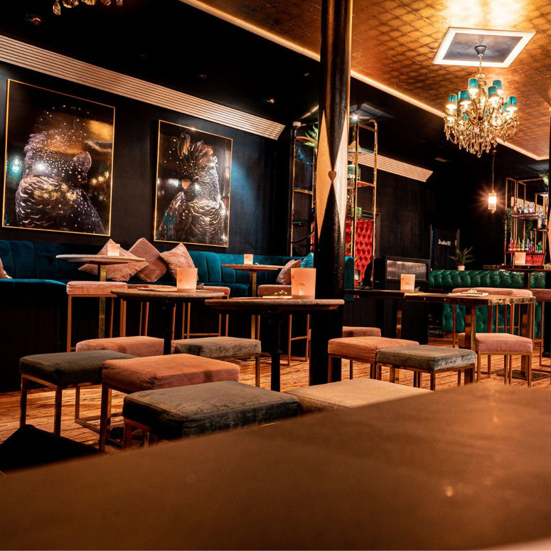 The Cockatoo Book Club Queer Lit