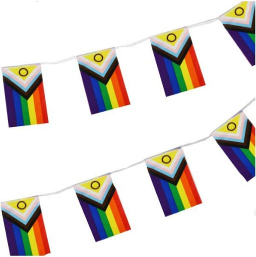 Progressive Intersex Pride flag Bunting (6 Meters x 20 Flags)