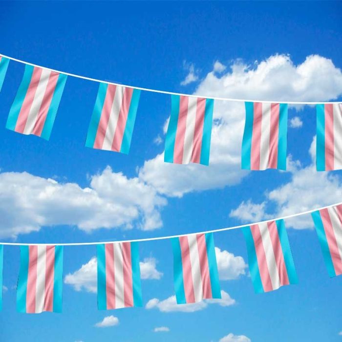 Transgender Pride flag Bunting (20 Flags)