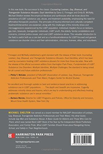 Fundamentals of LGBT Substance Use Disorders - Multiple Identities, Multiple Challenges 