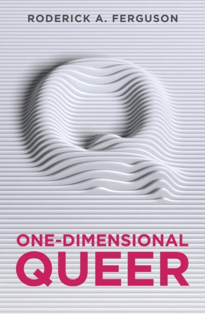One-Dimensional Queer by Roderick A. Ferguson