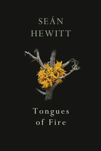 Tongues of Fire by Sean Hewitt
