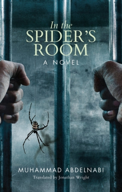 In the Spider's Room by Muhammad Abdelnabi
