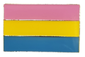 Large Pansexual Enamel Pin – Queer Lit