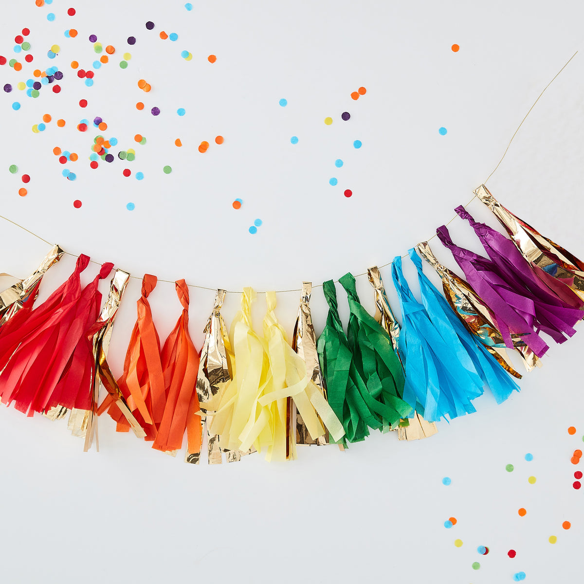 LGBTQ+ Rainbow & Gold Foil Tassel Garland