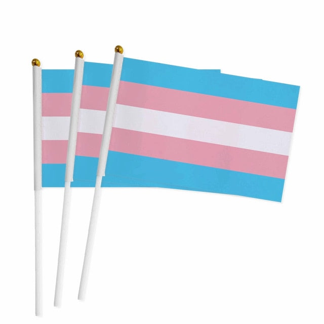 Handheld Transgender Pride Flag (3 Pack)